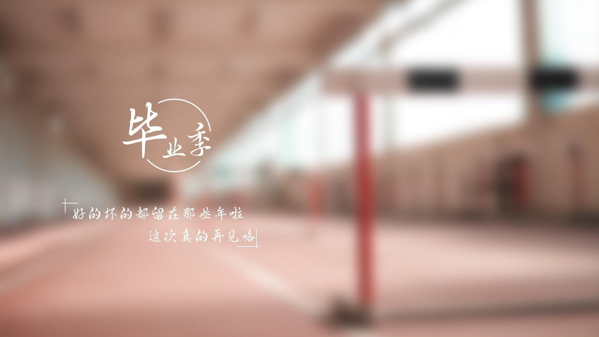 意大利女子排球队在半决赛中击败巴西队，意大利女子排球世界排名