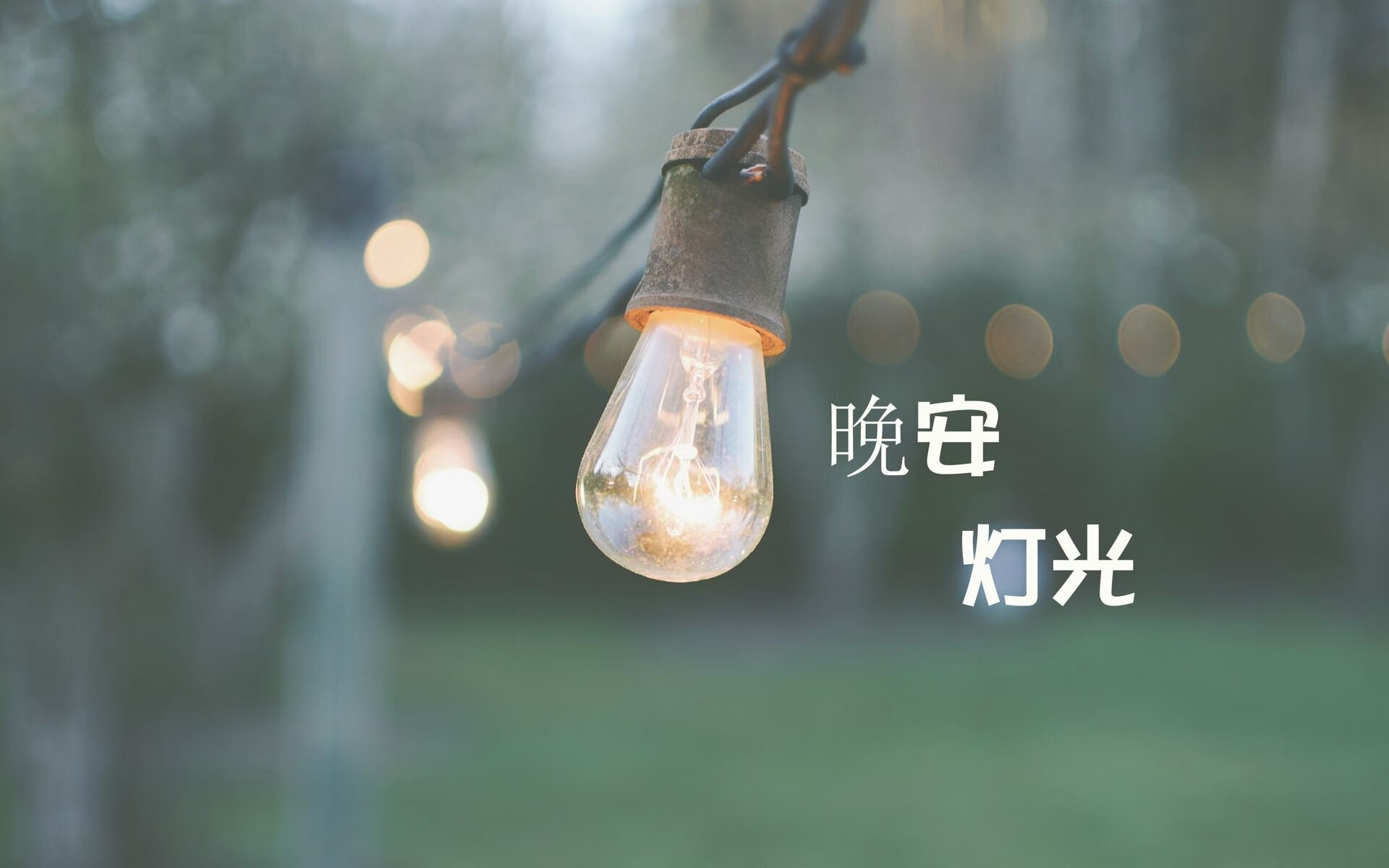 加拿大选手稳守防线，守住胜利，加拿大选手夺冠