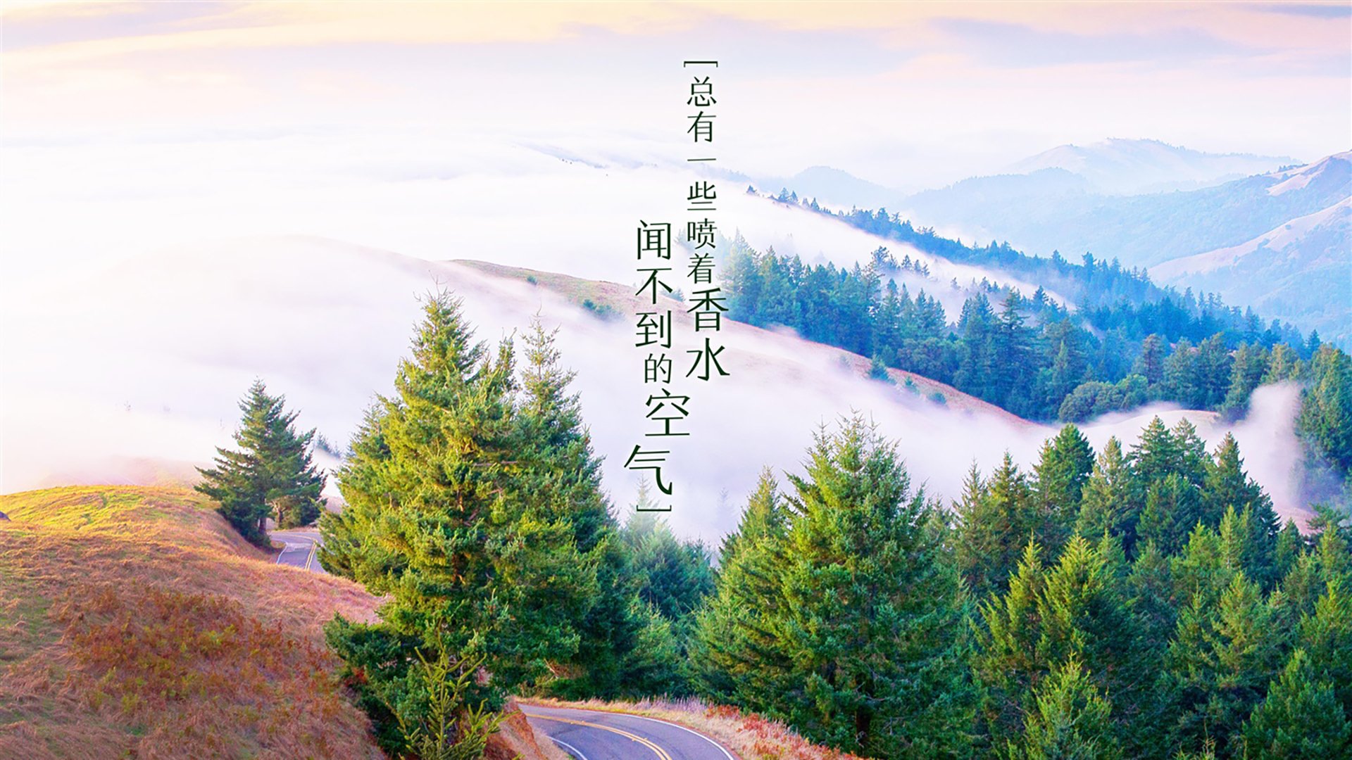湖人球队新援融入速度加快，湖人新援球衣