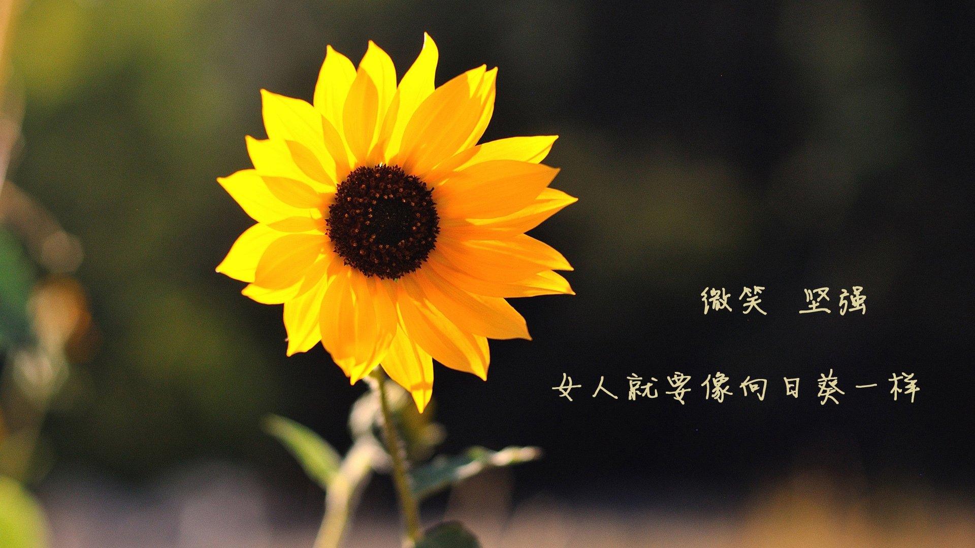 震撼乒乓球反手大战引热议，乒乓反手视频