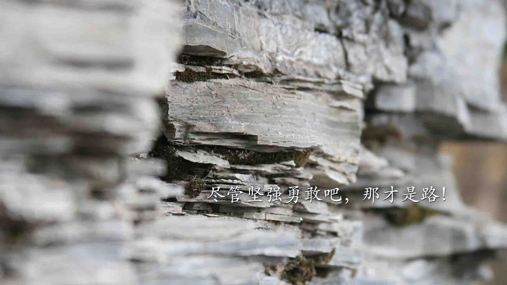 中国足球前场高位逼抢转化效率分析，足球前场球员排行榜