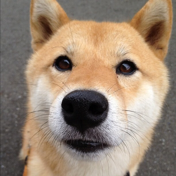 中国香港队在国际乒联混合团体世界杯中的突破与表现分析,香港乒乓球队和大陆一起训练