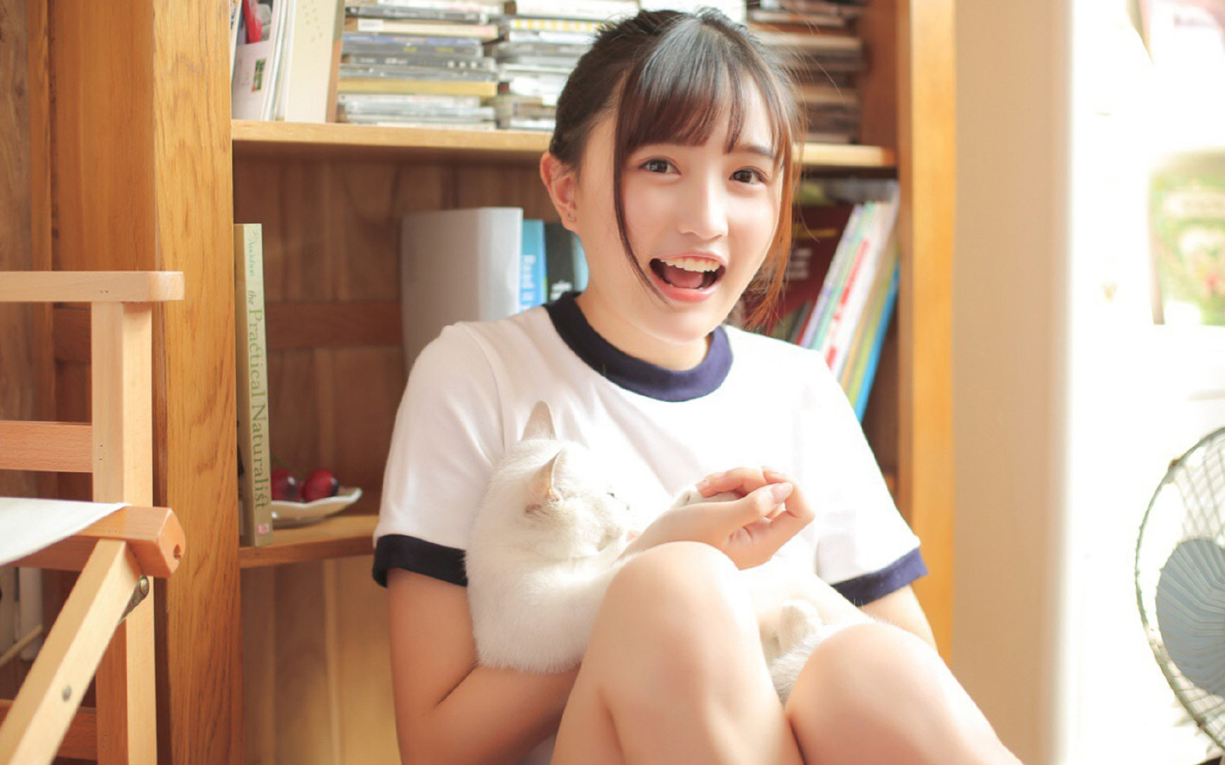 罗马尼亚队赛制研究：如何在不同赛事规则下调整战略布局，罗马尼亚比赛取消