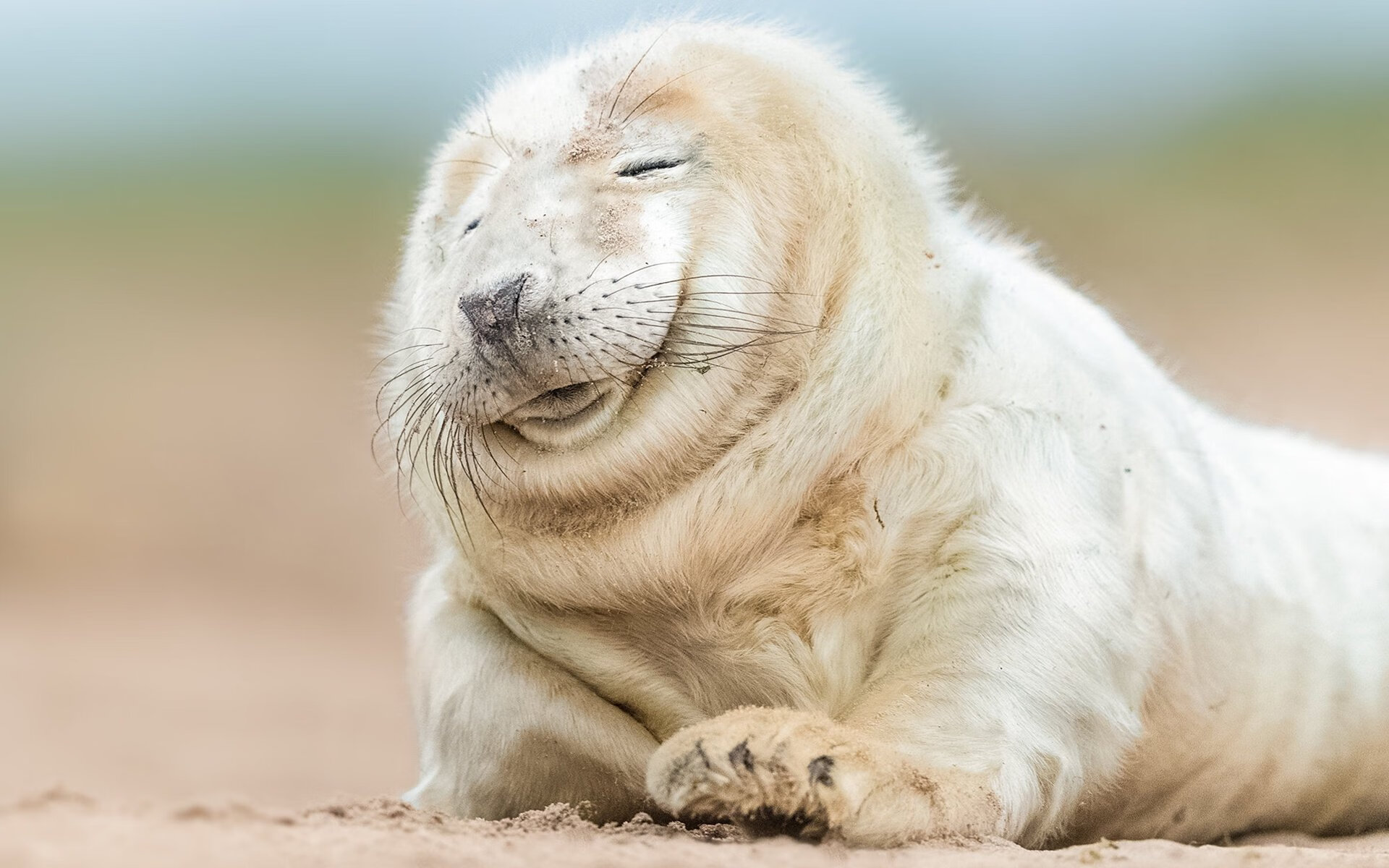 选手操作视角视频上线引发教学热潮,王者荣耀职业选手操作视角