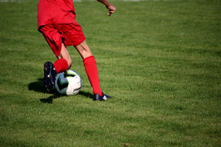 Kaiyun(中国)开云-CBA球队完善伤病防护体系保障运动员健康和职业生涯，cba球员伤情报告