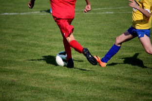 kaiyun开云·官方网站-中小学篮球教研活动不断创新教学方法提升训练效果，篮球教研活动总结