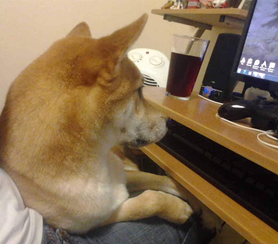 伊丽莎白·德克斯决赛表现稳定赢得掌声，德国伊丽莎白