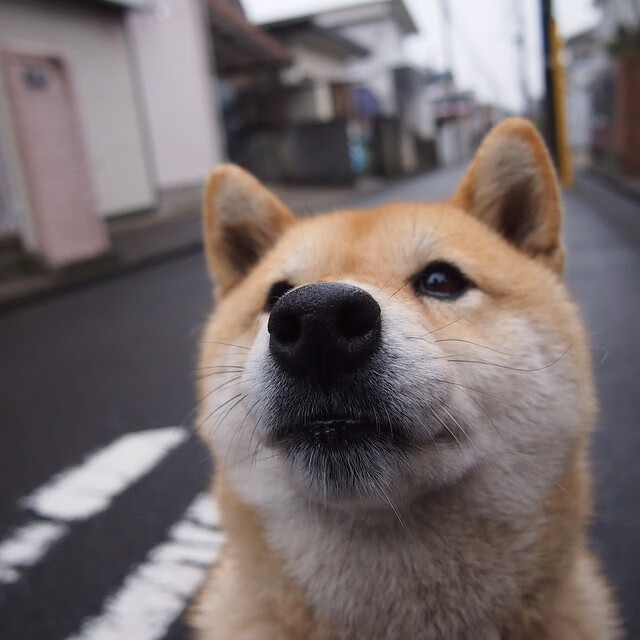 女子足球国际赛事逐步升温,吸引大量关注与投资,女子足球比赛时间是多少