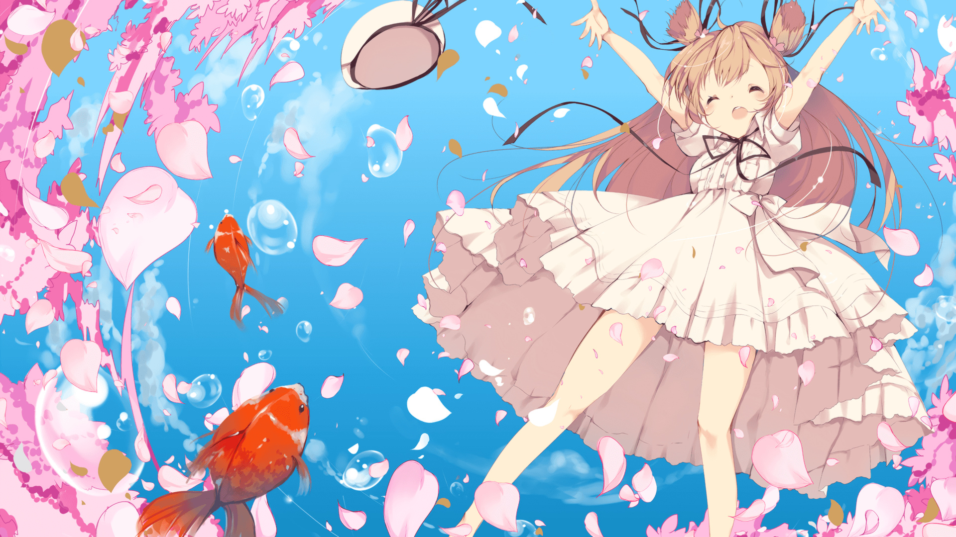 混合泳赛事朝鲜团队配合默契,混合泳中国