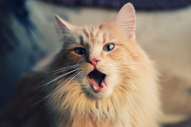 网球场馆运营管理智能化水平提高，网球场管理与运营方案